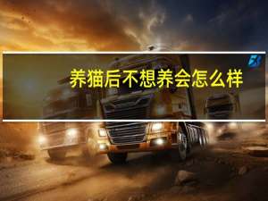 养猫后不想养会怎么样