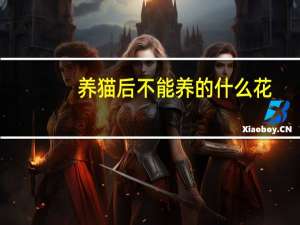 养猫后不能养的什么花