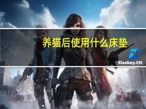 养猫后使用什么床垫