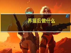 养猫后做什么