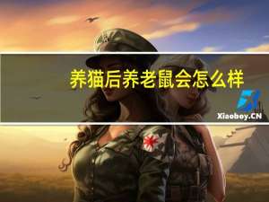 养猫后养老鼠会怎么样