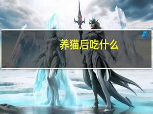 养猫后吃什么