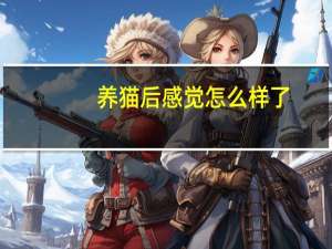 养猫后感觉怎么样了