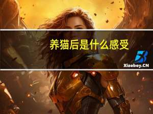 养猫后是什么感受