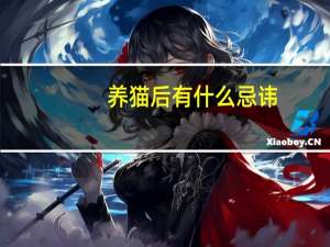 养猫后有什么忌讳