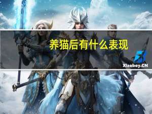 养猫后有什么表现