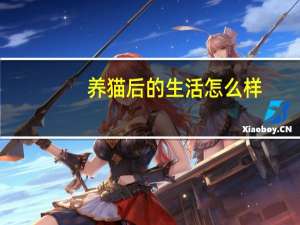 养猫后的生活怎么样