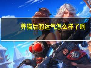 养猫后的运气怎么样了啊