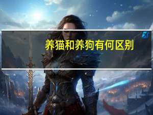 养猫和养狗有何区别