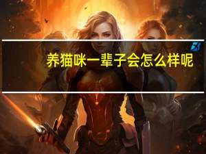 养猫咪一辈子会怎么样呢