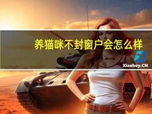 养猫咪不封窗户会怎么样