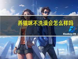 养猫咪不洗澡会怎么样吗