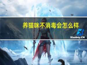 养猫咪不消毒会怎么样