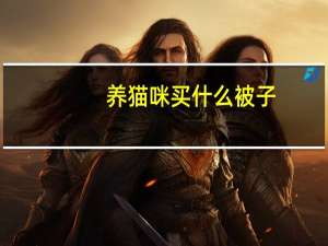 养猫咪买什么被子