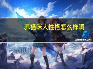 养猫咪人性格怎么样啊