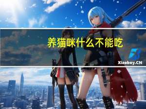养猫咪什么不能吃
