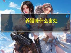 养猫咪什么害处