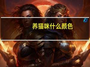 养猫咪什么颜色