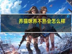 养猫咪养不熟会怎么样