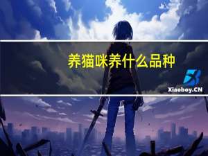 养猫咪养什么品种