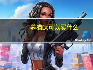 养猫咪可以买什么