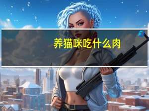 养猫咪吃什么肉