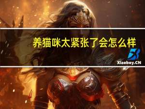 养猫咪太紧张了会怎么样