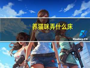 养猫咪弄什么床