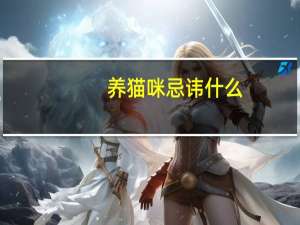 养猫咪忌讳什么