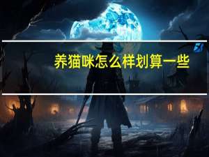 养猫咪怎么样划算一些
