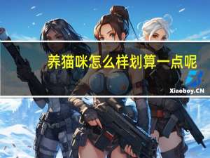 养猫咪怎么样划算一点呢