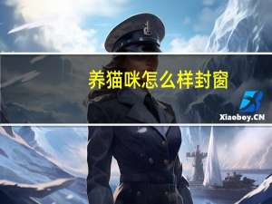 养猫咪怎么样封窗