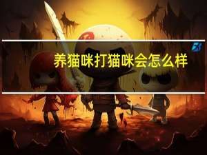 养猫咪打猫咪会怎么样