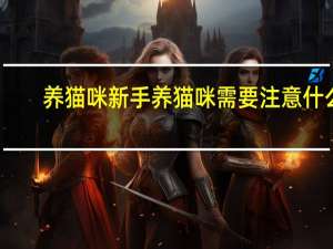 养猫咪新手养猫咪需要注意什么