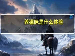养猫咪是什么体验