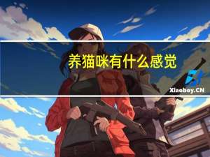 养猫咪有什么感觉