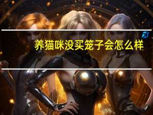 养猫咪没买笼子会怎么样