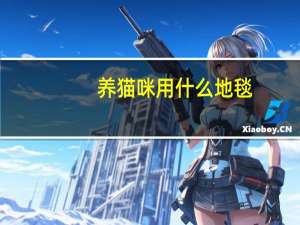 养猫咪用什么地毯