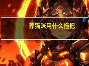 养猫咪用什么拖把