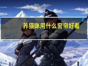 养猫咪用什么窗帘好看