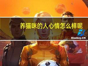 养猫咪的人心情怎么样呢