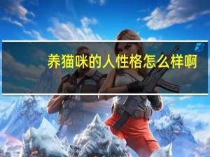 养猫咪的人性格怎么样啊