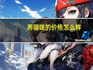 养猫咪的价格怎么样