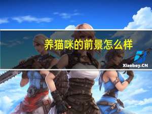 养猫咪的前景怎么样