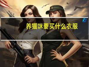养猫咪要买什么衣服