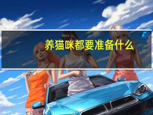 养猫咪都要准备什么