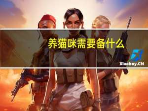 养猫咪需要备什么