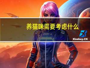 养猫咪需要考虑什么