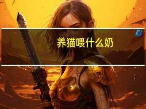 养猫喂什么奶