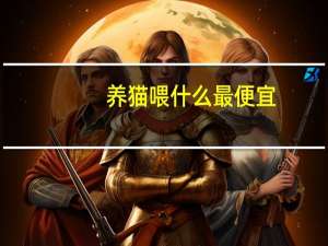 养猫喂什么最便宜